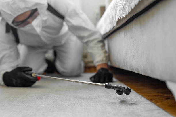 Professional Bed Bug Control technician working in Occoquan, VA