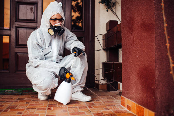Reliable Bed Bug Control contractor in Occoquan, VA by Nex Pest Control